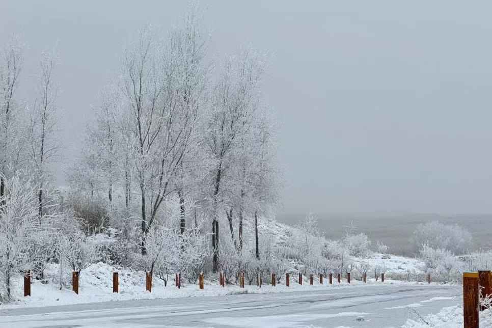 Manas Wetland Park